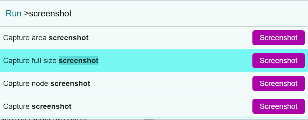 Full-size screesnhot on Developer Tools