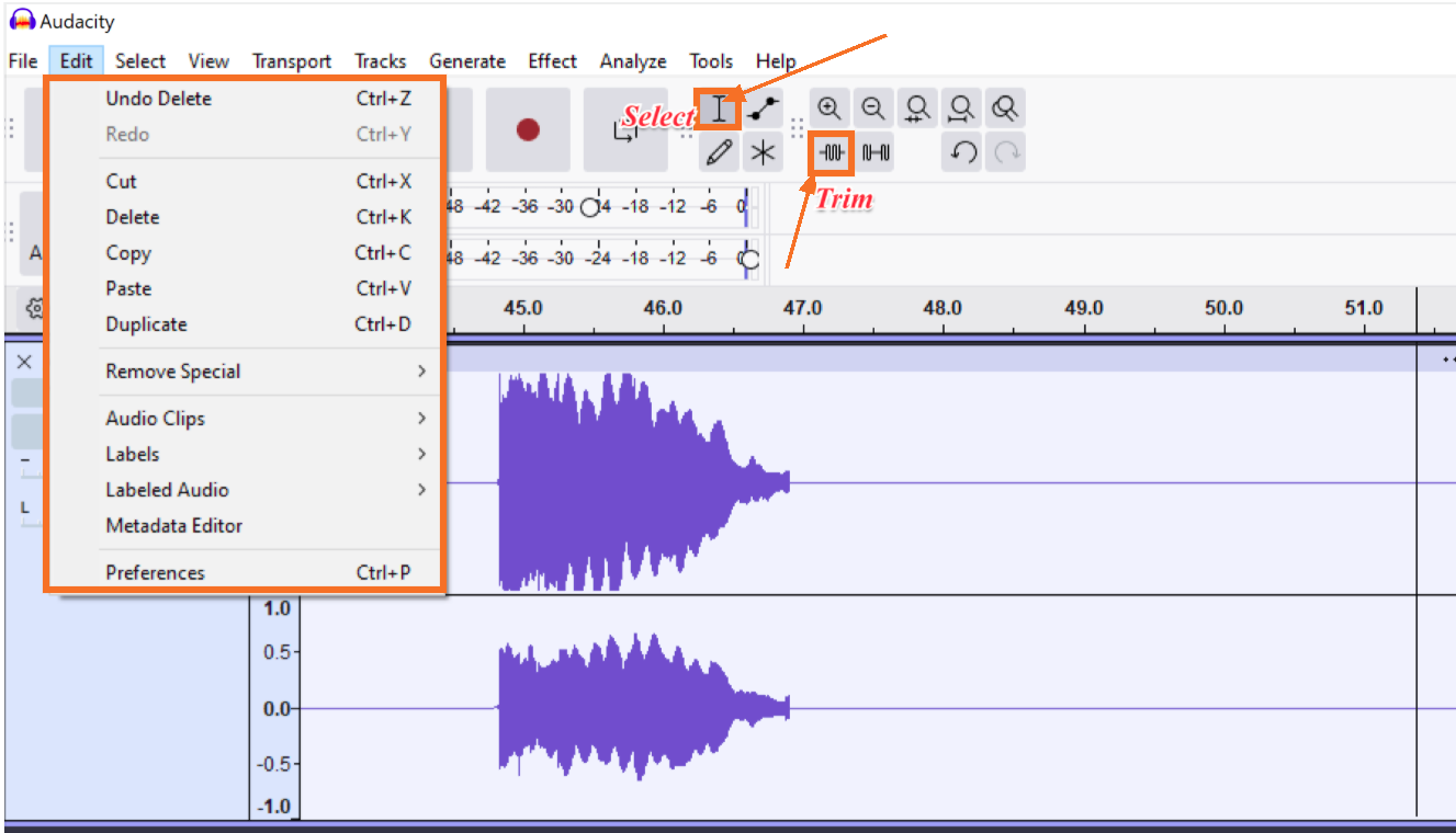 Editing Your Computer Audio Recording in Audacity (Windows and Mac)